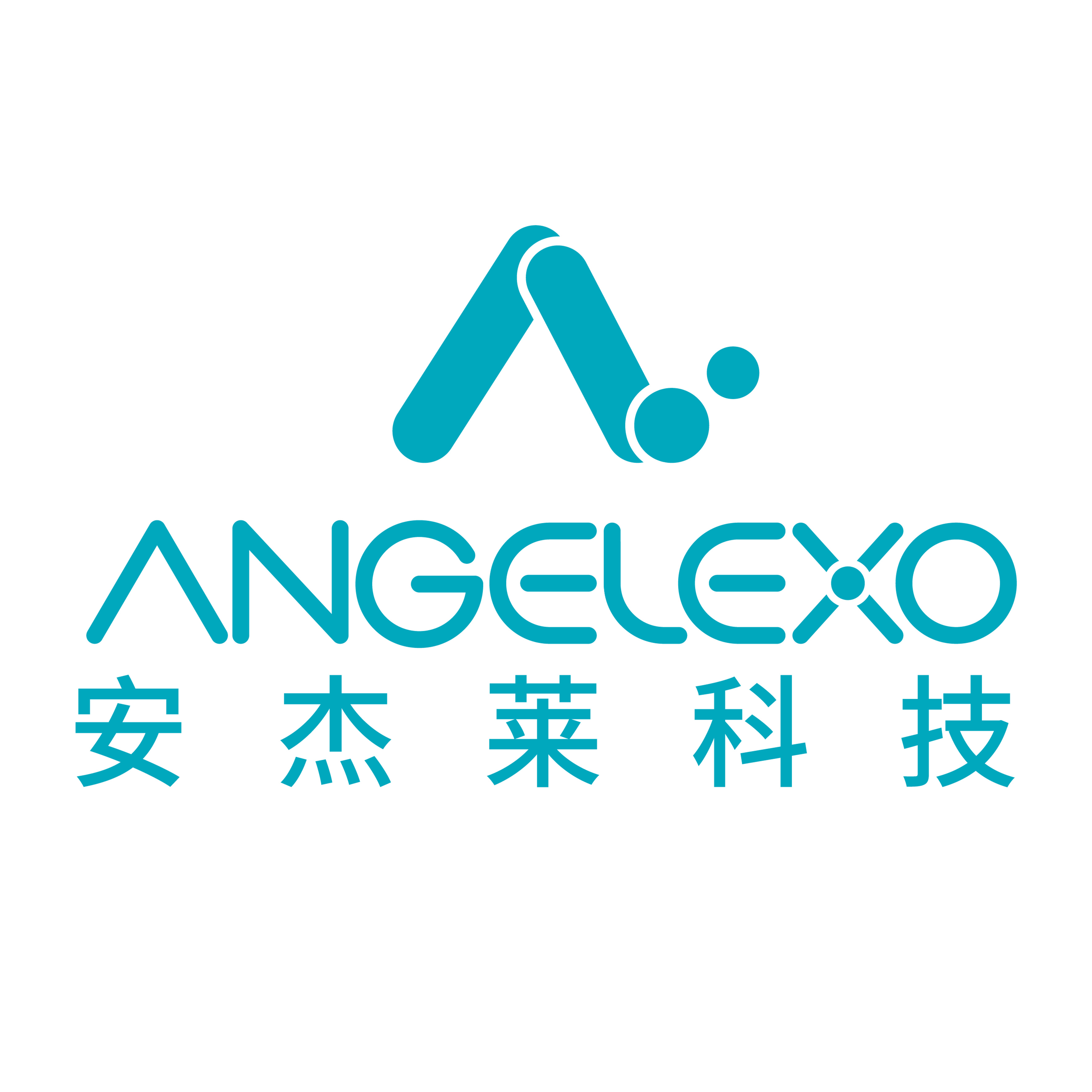 Angelexo Scientific Co., Ltd.-